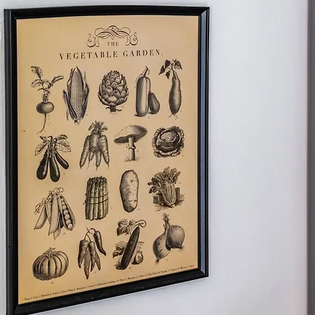 Le Cosy * * Διαμέρισμα Ντιζόν